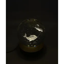 Ночникдельфин и луна 8d
