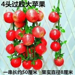 Искусственные фрукты на ветке для декора и фотосессий