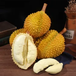 Искусственный плод дуриана, муляж для декора и фотореквизита