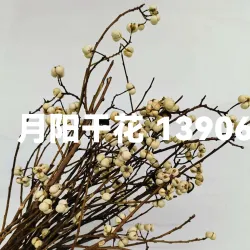 Сухоцветы и стабилизированные цветы с мелкими белыми плодами для DIY
